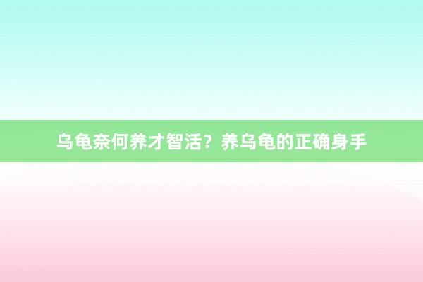 乌龟奈何养才智活？养乌龟的正确身手